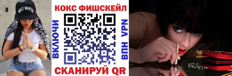 купить наркотик  Курган  COCAIN Эквадор 