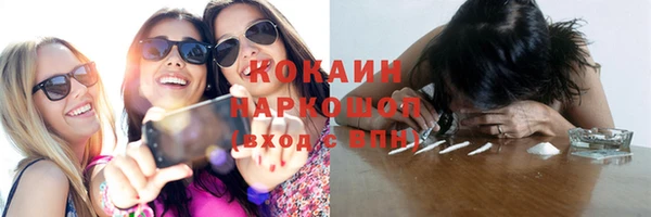 твердый Мегион