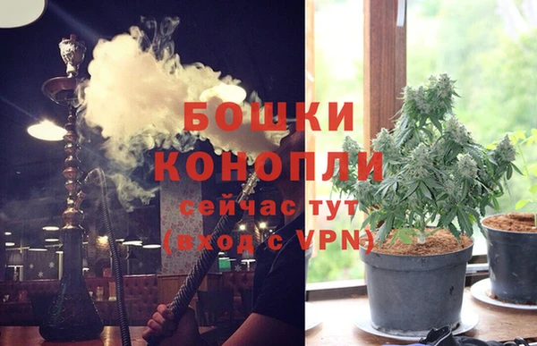 твердый Мегион