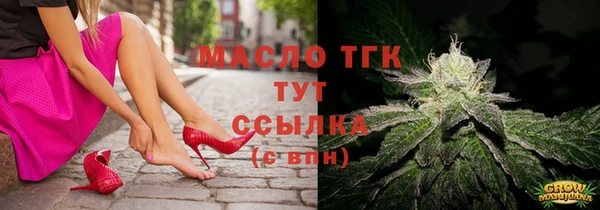 твердый Мегион