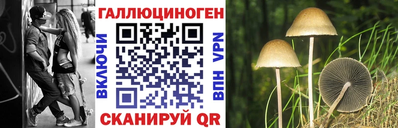 Псилоцибиновые грибы MAGIC MUSHROOMS  купить наркотики сайты  OMG как зайти  Курган 