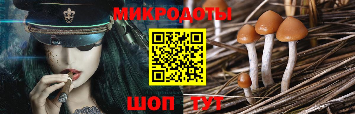 Курган  Галлюциногенные грибы прущие грибы  Вход с VPN  купить   Псилоцибиновые грибы Magic Shrooms 